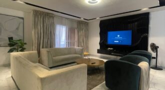 Furnished 2 Bedroom Apartment